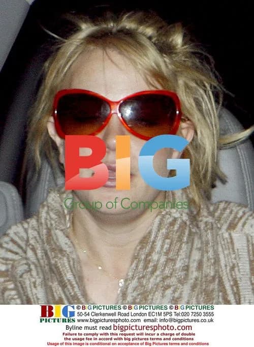 Britney Spears Dines with Friends