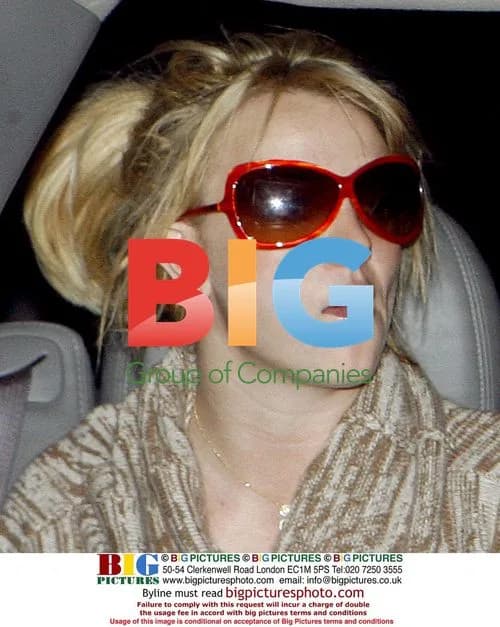 Britney Spears Goes to Dinner with Friends