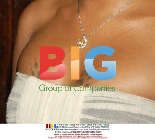 Singer Eve at M.A.C Gala Honoring Raquel Welch