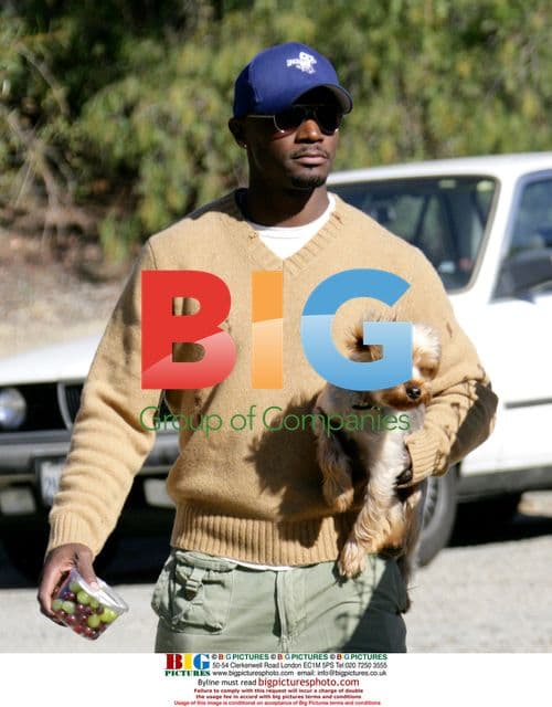 Taye Diggs scoops dog poop at park