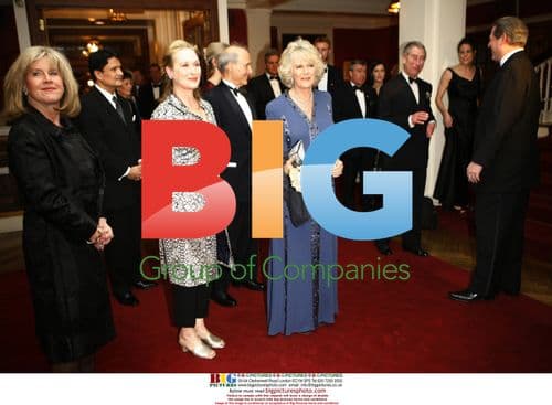 Camilla, Meryl Streep, and Tipper Gore at Harvard Club