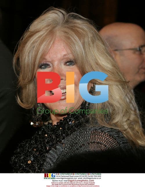 Connie Stevens at Palm Springs Film Festival