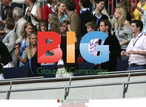 Princes William and Harry at Concert for Diana