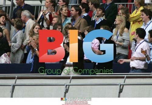 William, Harry, and Chelsy at Concert for Diana