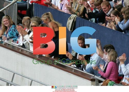 Princes William, Harry and Chelsy Davy at Concert for Diana