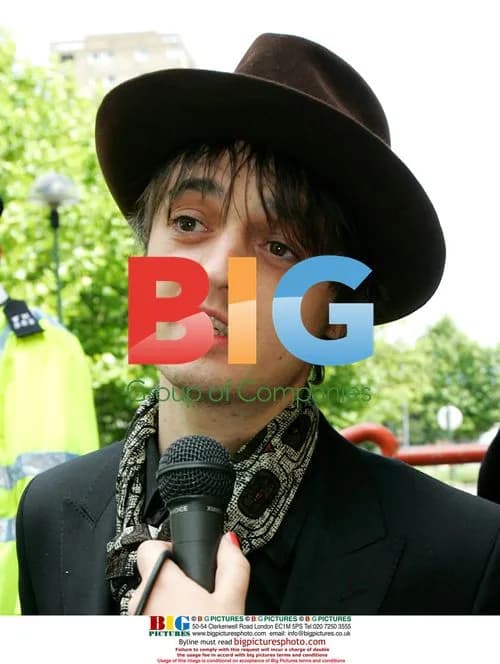 Pete Doherty Pleads Guilty to Drug Charges