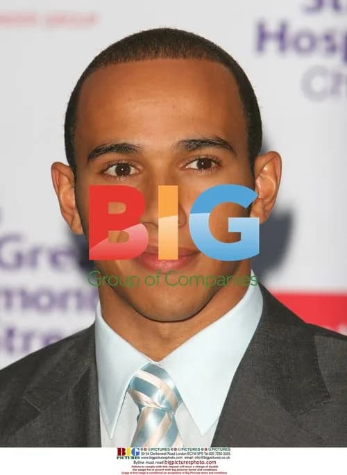 Lewis Hamilton at Formula One Party