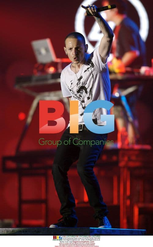 Linkin Park at Live Earth Japan