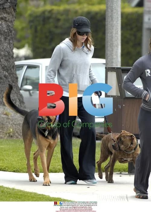 Jessica Biel walks dogs in Palisades Park