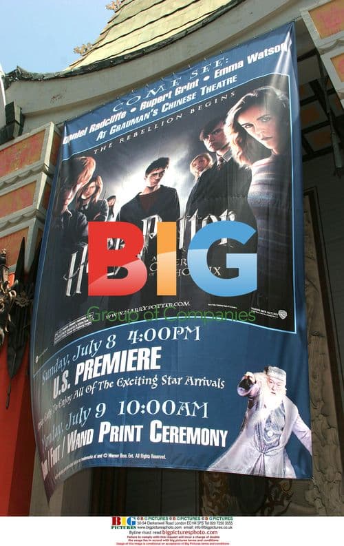 Harry Potter Hand, Footprint and Wand Ceremony