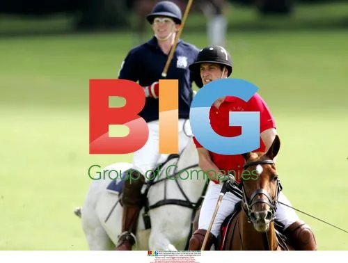Prince William Playing Polo
