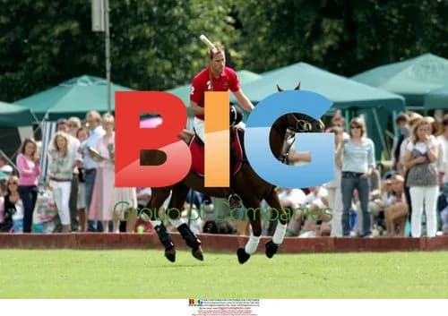 Prince William Plays Polo