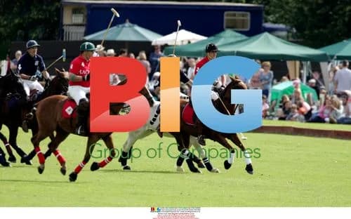 Prince William Plays Polo