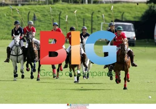 Prince William Playing Polo