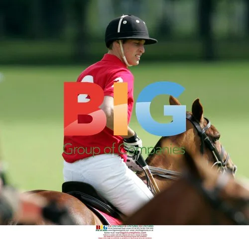 Prince William Playing Polo