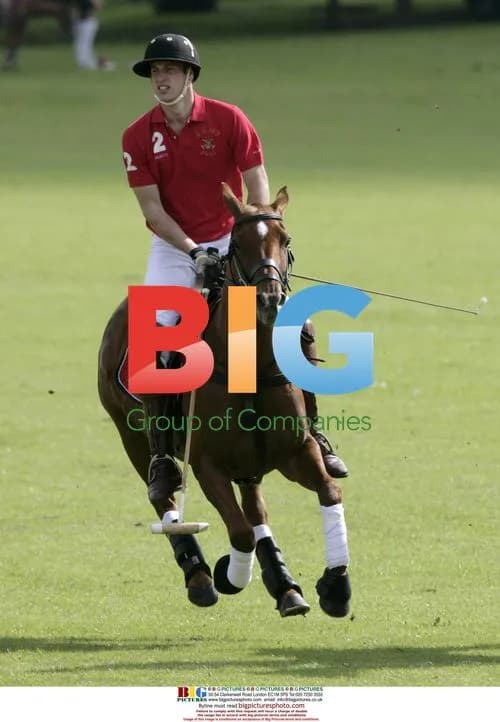 Prince William Playing Polo