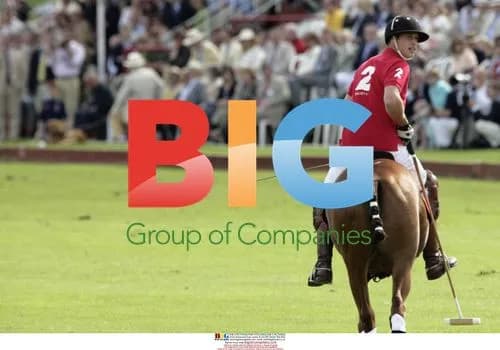 Prince William Playing Polo