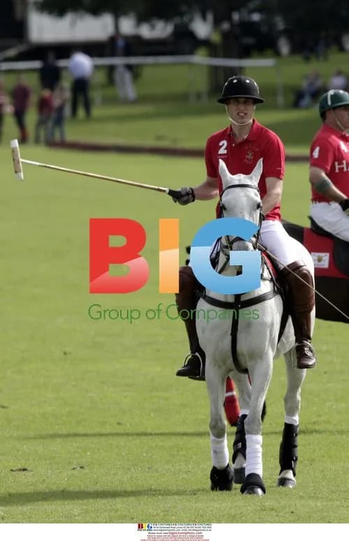 Prince William at Polo Game