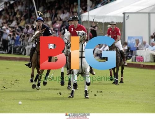 Prince William Playing Polo