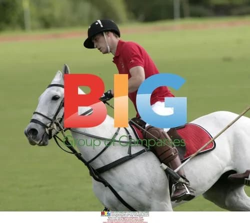 Prince William Plays Polo