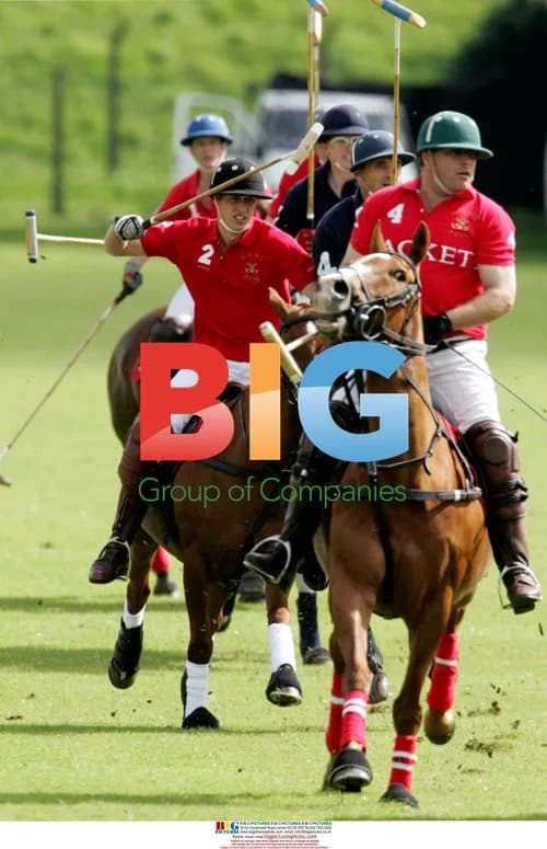 Prince William Plays Polo