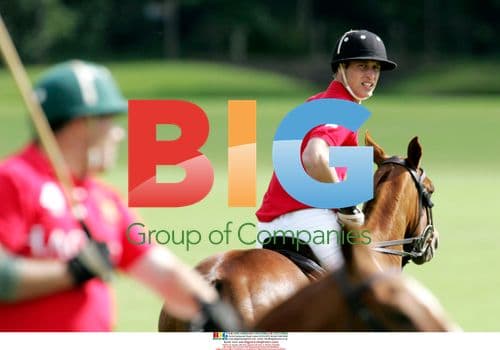 Prince William Plays Polo