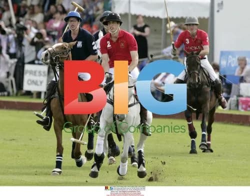 Prince William Polo Game