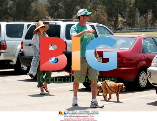 Naomi Watts and Liev Schreiber take dogs for a walk