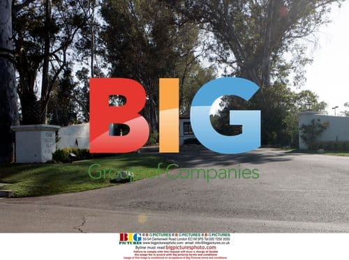 Newlyweds Rebecca Romijn and Jerry O'Connell