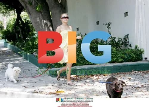 Hayden Panettiere strolls with dogs in LA