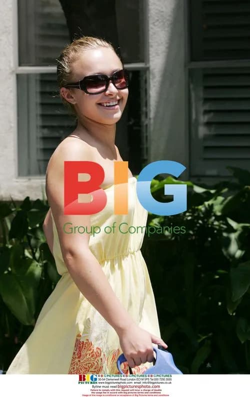 Hayden Panettiere Strolls with Dogs in LA