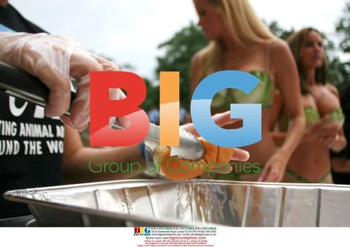 Former Playboy, Miss Budweiser hand out veggie hot dogs