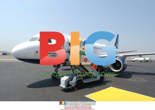 Simpsons Cast at Jet Blue Movie Unveiling