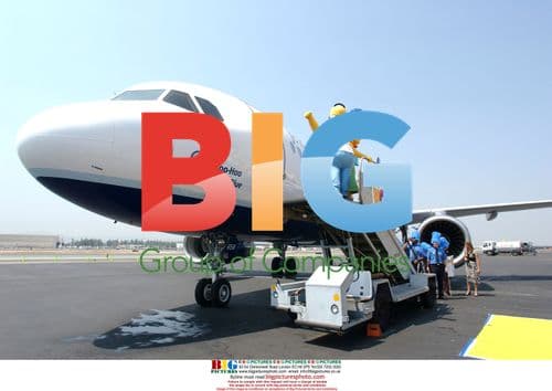 Simpsons Cast at 'The Woo Hoo' Jet Blue Unveiling