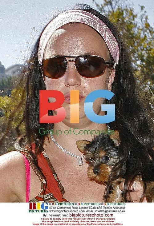 Britney Spears Takes Yorkie to Lunch