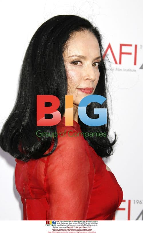 Sonja Braga at AFI Gala for Al Pacino