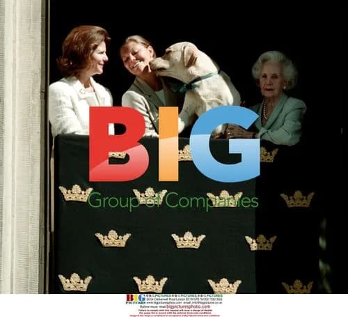 Swedish King Carl Gustaf's dog Jamob at Solliden