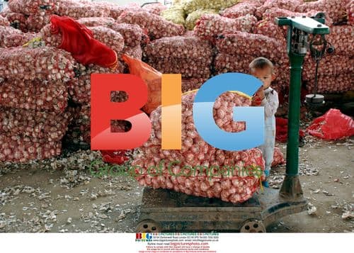 Vendor Napping on Melons in Huaibei