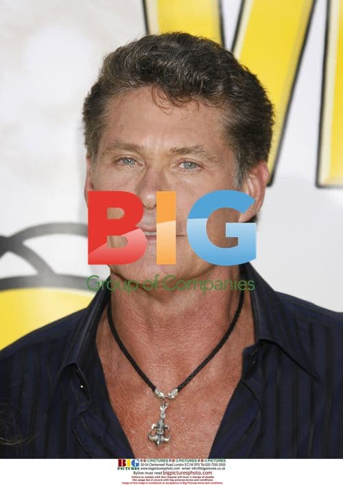 David Hasselhoff at 'The Simpsons Movie' premiere