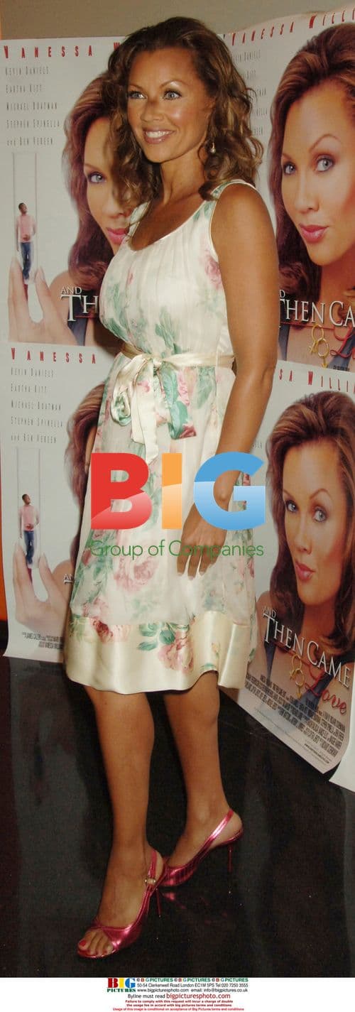 Vanessa Williams at NY Premiere