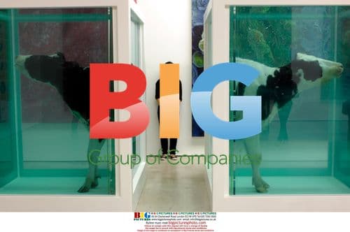 Damien Hirst's "Love's Paradox" at "Beyond Belief" exhibition