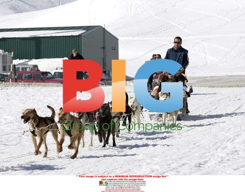 The Beckhams on a Husky Sleigh Ride