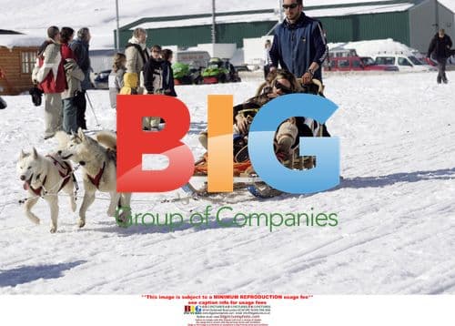 The Beckhams take a Husky Sleigh Ride