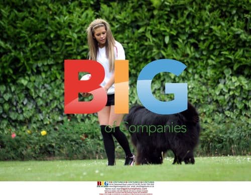 Bianca Gascoigne and Her Dog Exercise in London