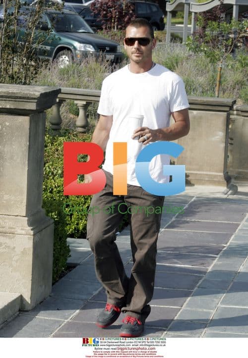 Gavin Rossdale goes for a stroll