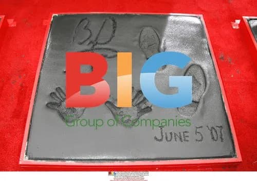 Brad Pitt Hand and Footprint Ceremony