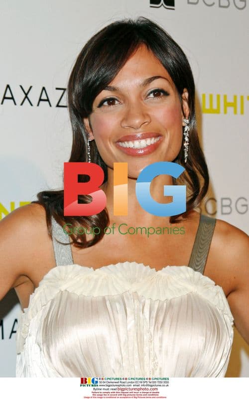 Rosario Dawson at Whitney Art Party