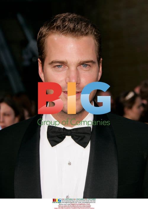 Chris O'Donnell Arrives at AFI Gala