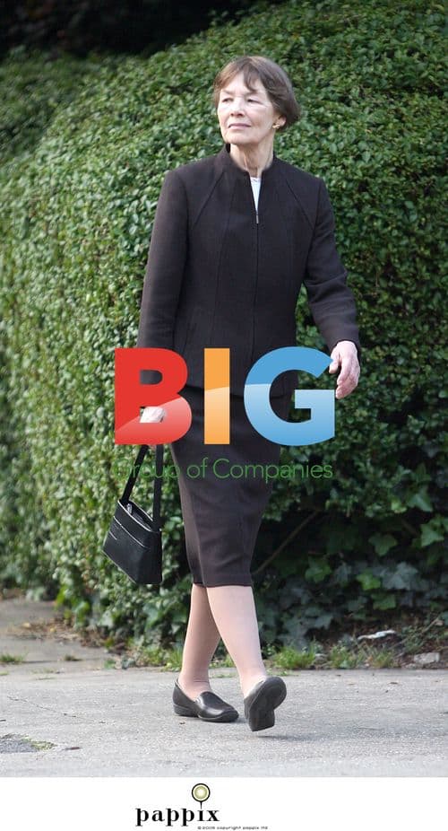 Glenda Jackson, Former Actress Turned Politician