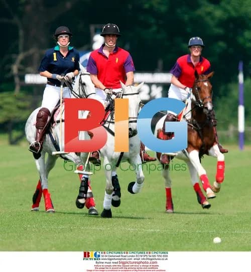 Prince William polo match